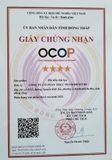  Hủ tiếu bột lọc 