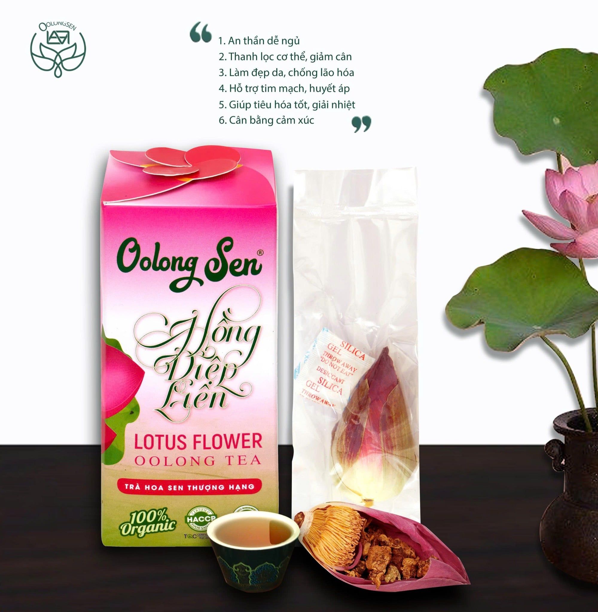  Hồng Diệp Liên 