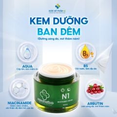 N1 - Kem Phục Hồi Tái Tạo ( 30gr ) Dược Mỹ Phẩm 4D