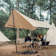 Chống tăng hợp kim nhôm Naturehike NH20PJ048 cao 2,8 mét