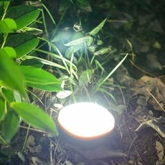 Đèn pin treo lều cắm trại, dã ngoại, du lịch NatureHike NH16D300-D
