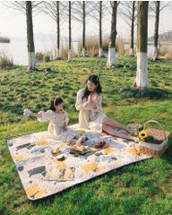 Thảm du lịch dã ngoại Naturehike NH21FCD01