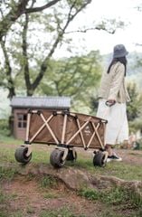 Xe kéo đồ dùng cắm trại Naturehike NH20PJ009
