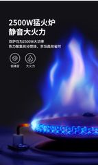 Bếp ga đôi Glamping Naturehike CNH22CJ046