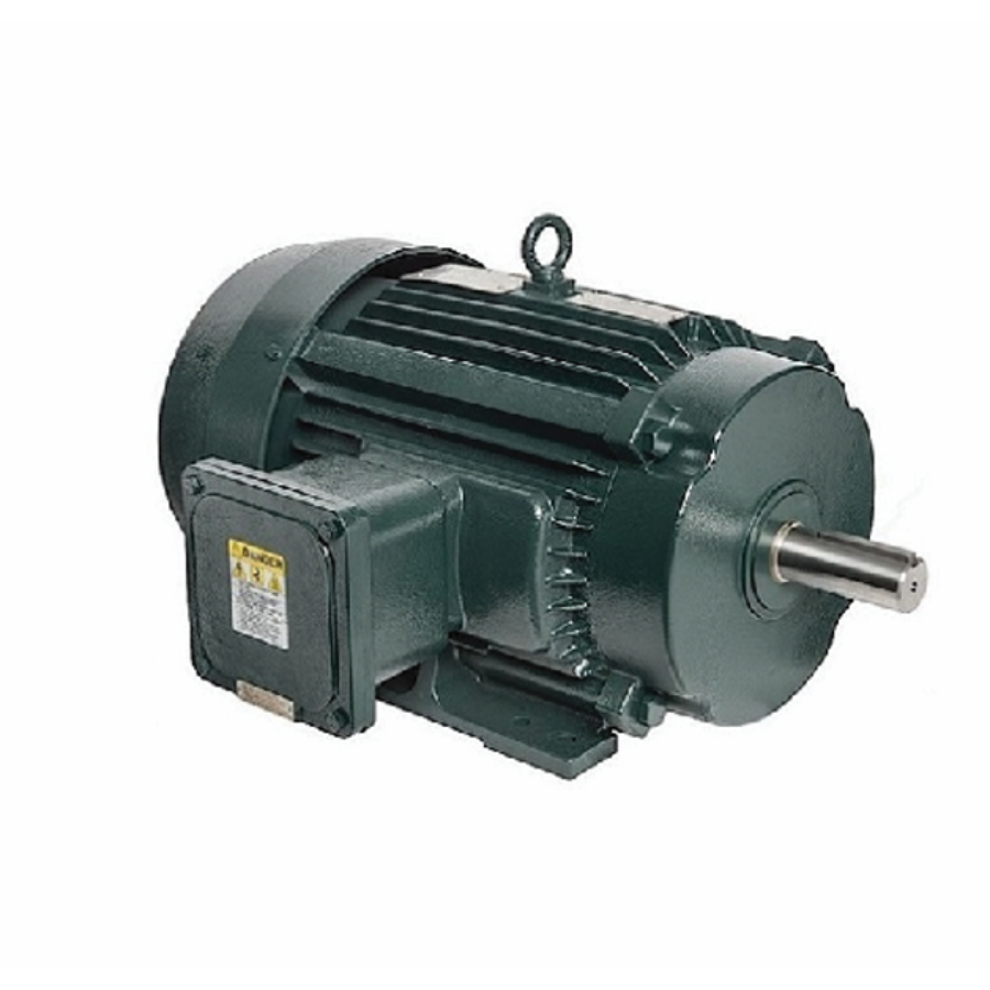  Động cơ điện chuyên dụng 