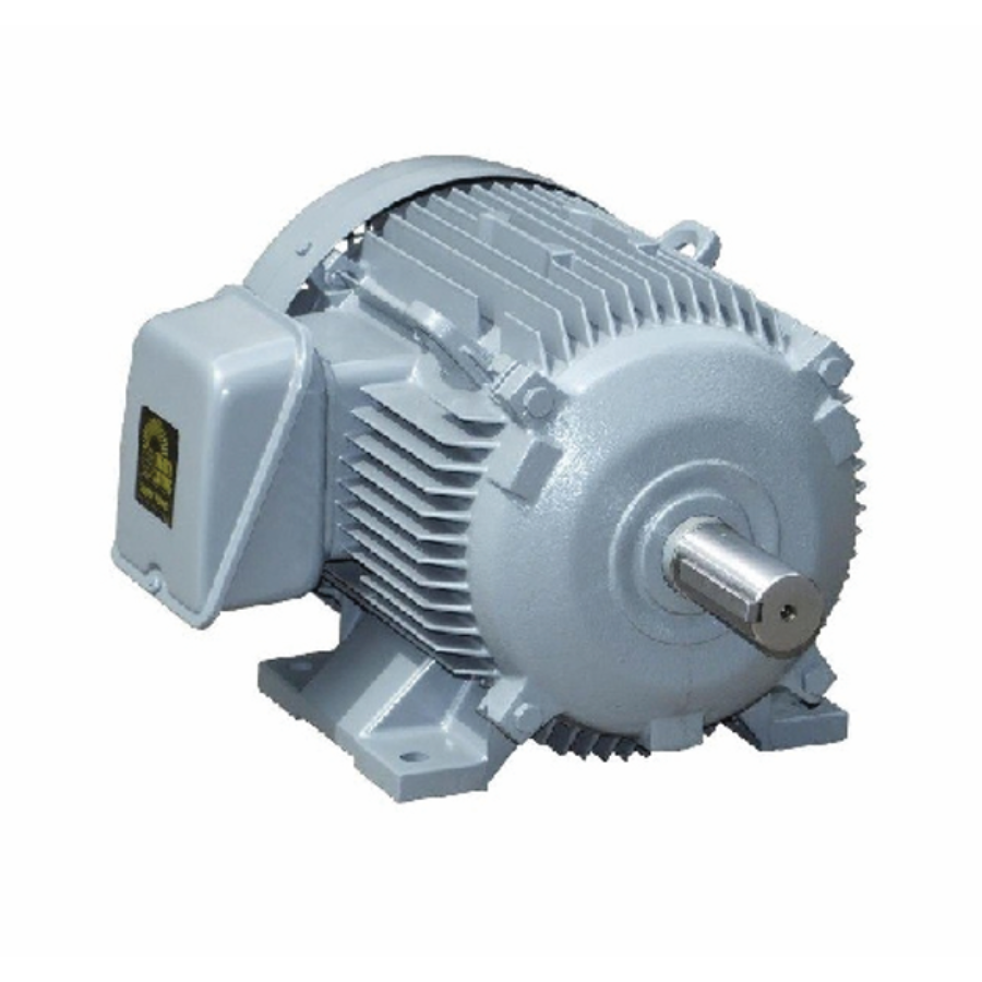  Động cơ vỏ gang đúc 