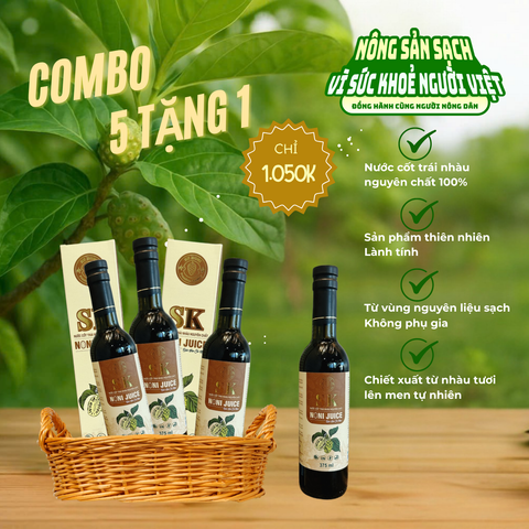 COMBO 5 CHAI 375 ML TẶNG 1 CHAI CÙNG LOẠI
