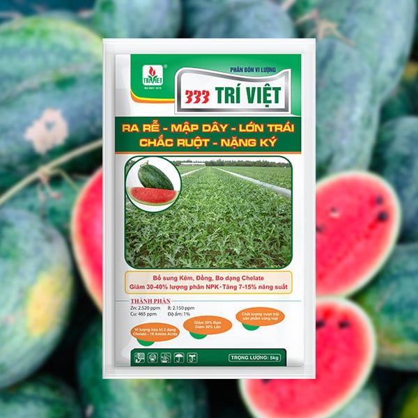  PHÂN BÓN RỄ 333 TRÍ VIỆT – CHUYÊN DƯA HẤU 