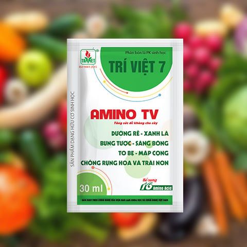 PHÂN BÓN LÁ AMINO TV 