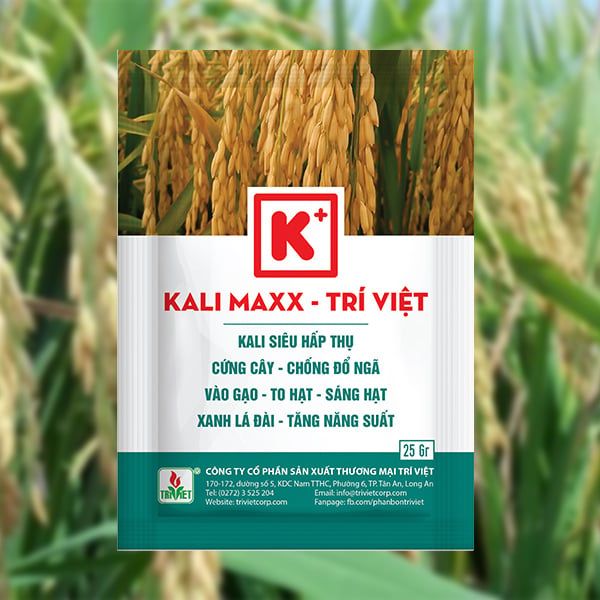  PHÂN BÓN LÁ KALI MAX – CHUYÊN LÚA 