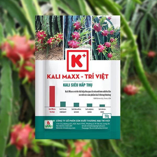  PHÂN BON LÁ KALI MAXX – CHUYÊN THANH LONG 