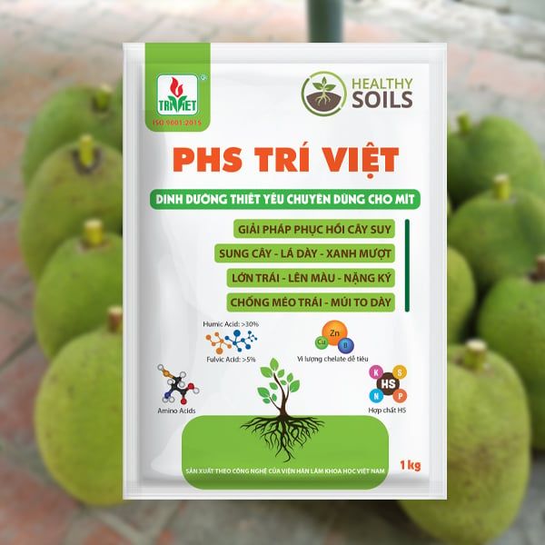  Phân bón rễ PHS TRÍ VIỆT – chuyên dùng cho mít Thái 