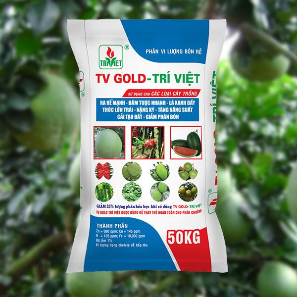  PHÂN HỮA CƠ TV GOLD TRÍ VIỆT 
