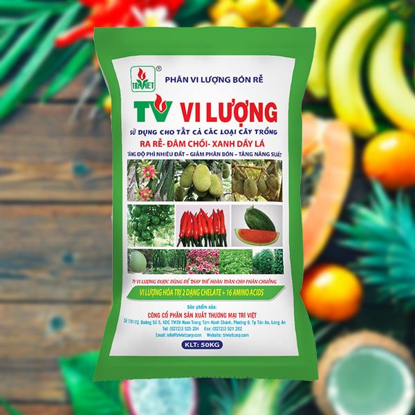  PHÂN HỮA CƠ TV VI LƯỢNG 