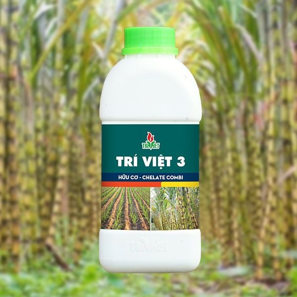  PHÂN BÓN LÁ TRÍ VIỆT 3 – CHUYÊN MÍA 