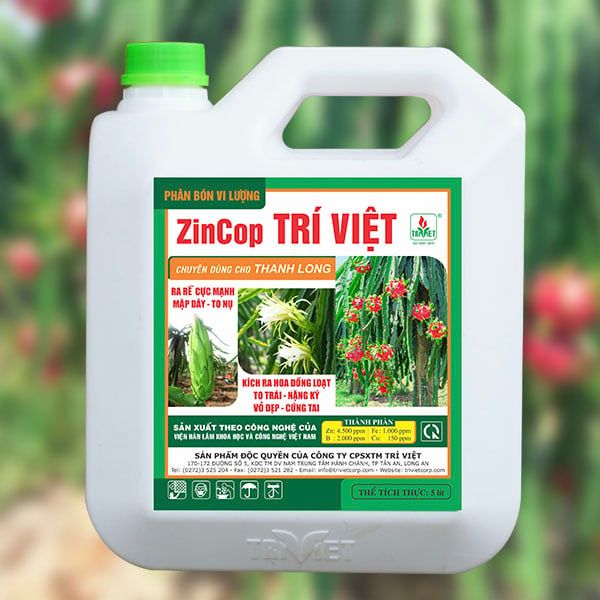  PHÂN TƯỚI RỄ ZINCOP TRÍ VIỆT – DÙNG CHO THANH LONG 