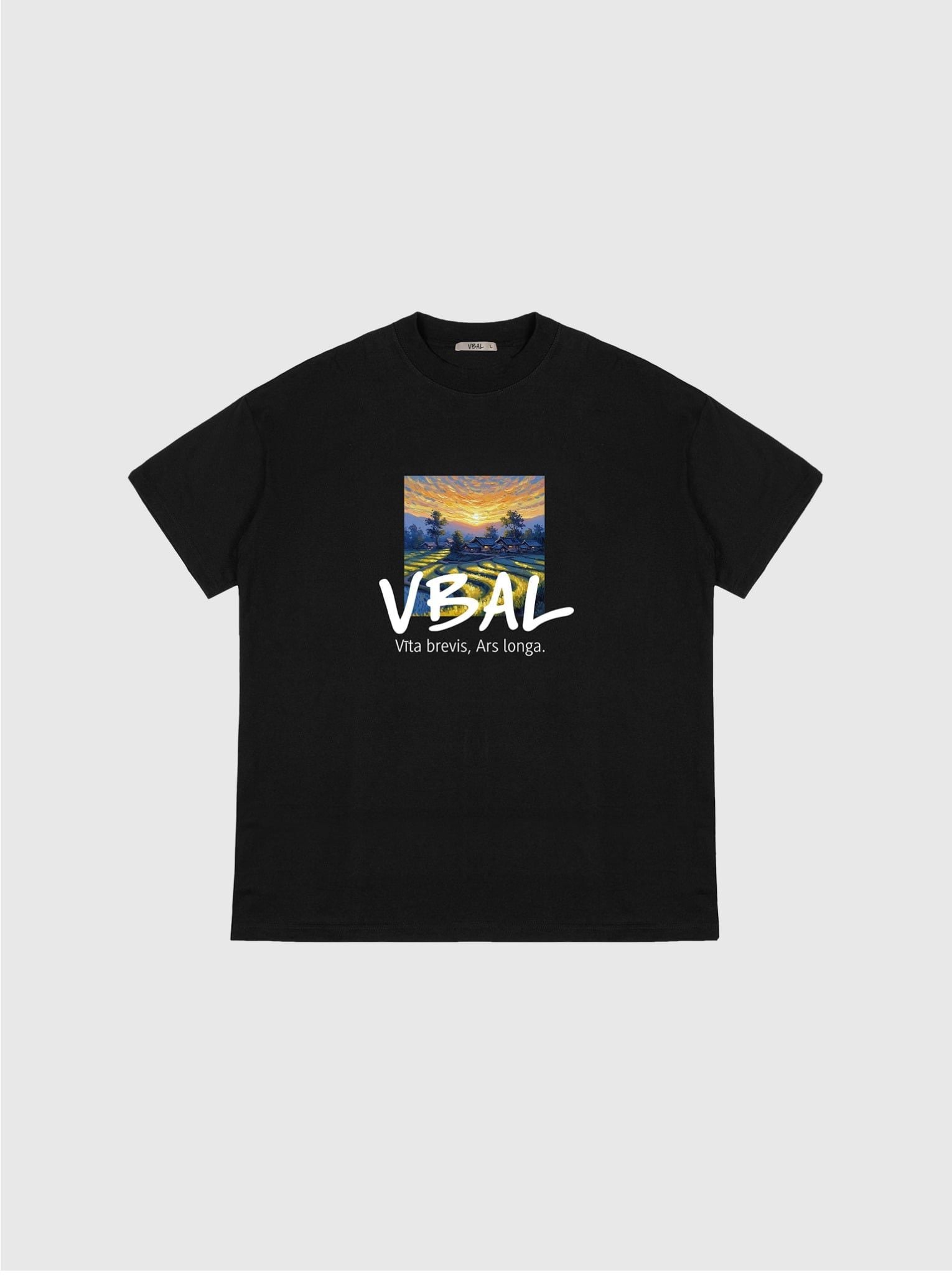 Áo thun hình in cao cấp VBAL - VBAL T-shirt Ver.2 - Đen