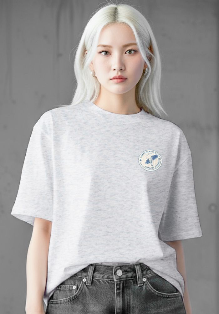 Áo thun hình in nam nữ - Vintage Post Dreams Collection - Melange Xám