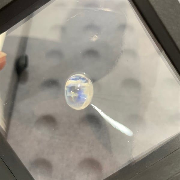  Đá Moonstone - Oval 8.3x9.8 ly - 3.20 ct 