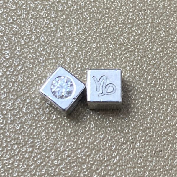  Charm hd Capricorn - S95 + Đá Moissanite 