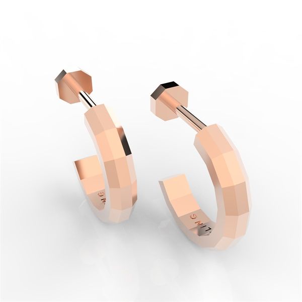  Bông tai thiết kế BXE - S95 