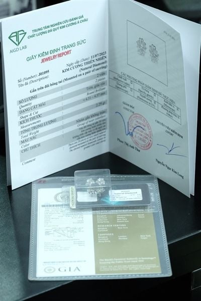  Bông tai xoàn thiết kế 