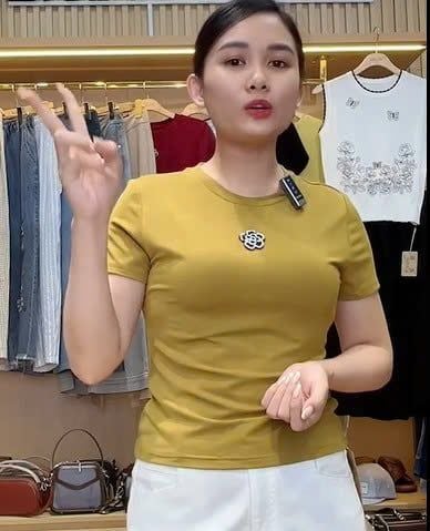  AT22-Áo Thun Lụa Mịn Đính Hoa Hồng 