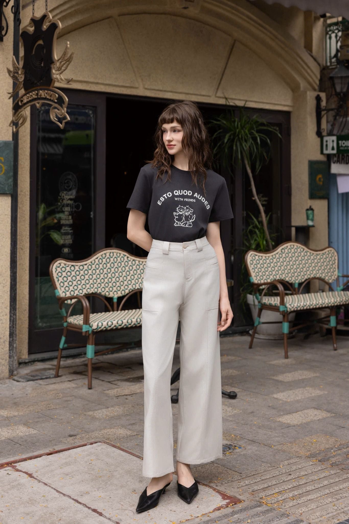  AT37-Áo Thun Cotton Lụa Mịn 