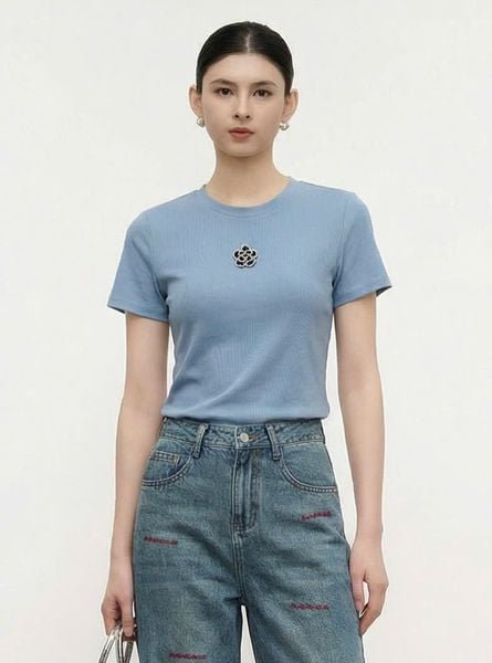  AT22-Áo Thun Lụa Mịn Đính Hoa Hồng 