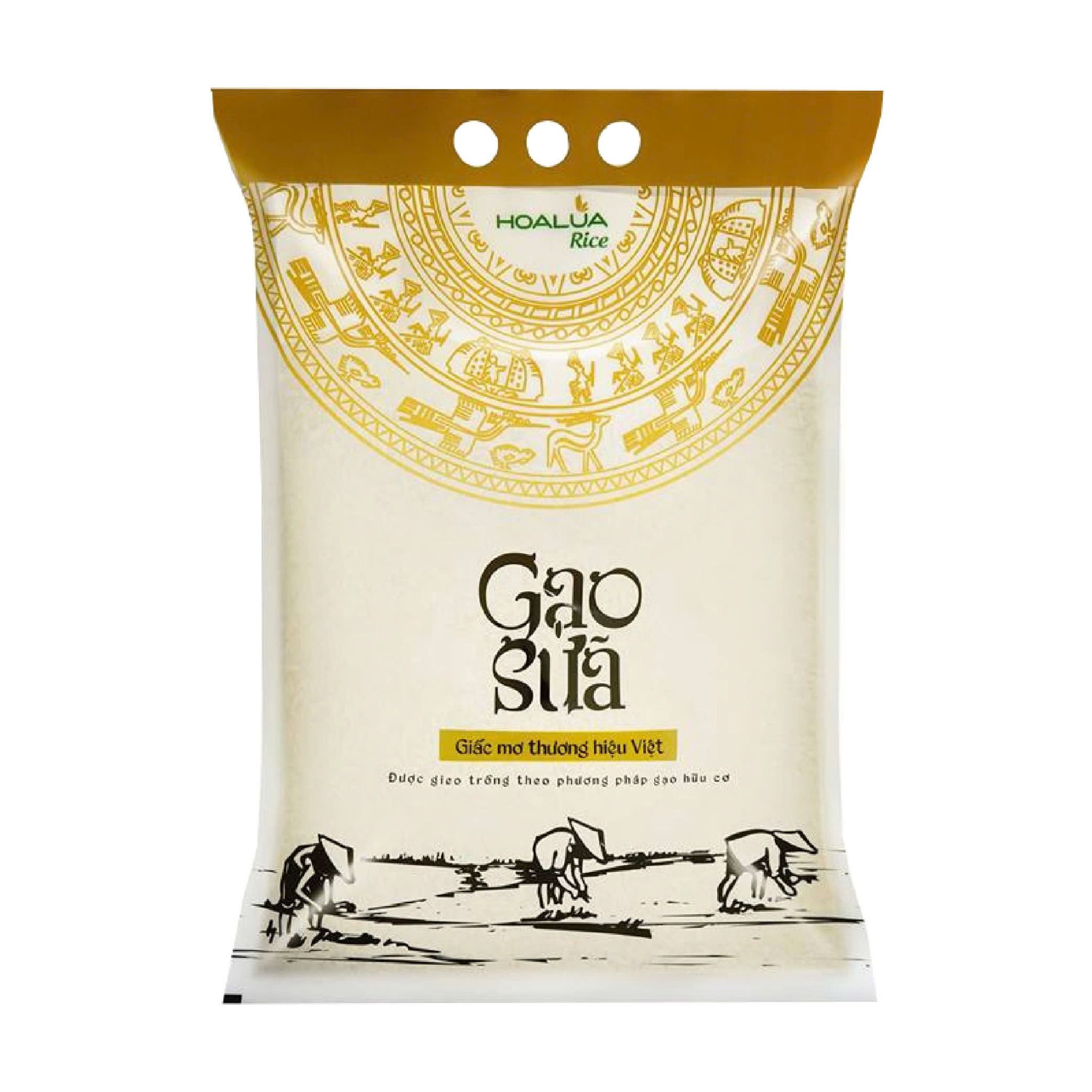 Gạo Sữa Thượng Hạng - Túi 5kg - Dẻo vừa, mềm cơm, thơm nhẹ