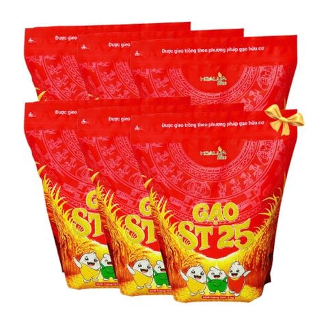  [Tặng 2Kg Gạo ST25] Combo 10kg Gạo ST25 Hoa Lúa túi 2kg (Tổng 12Kg) 