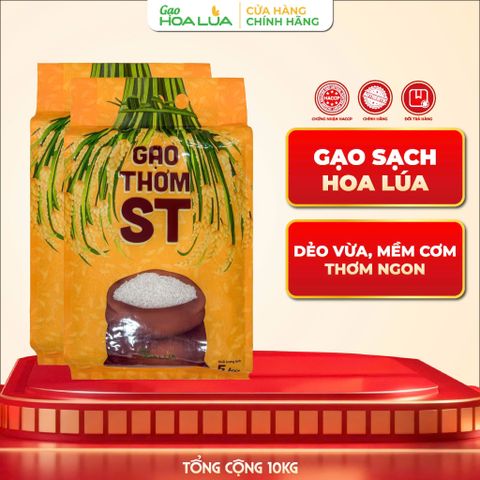  COMBO 10Kg Gạo Thơm ST túi 5kg - Dẻo vừa, mềm cơm, thơm ngon 