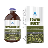  POWER BOOST 