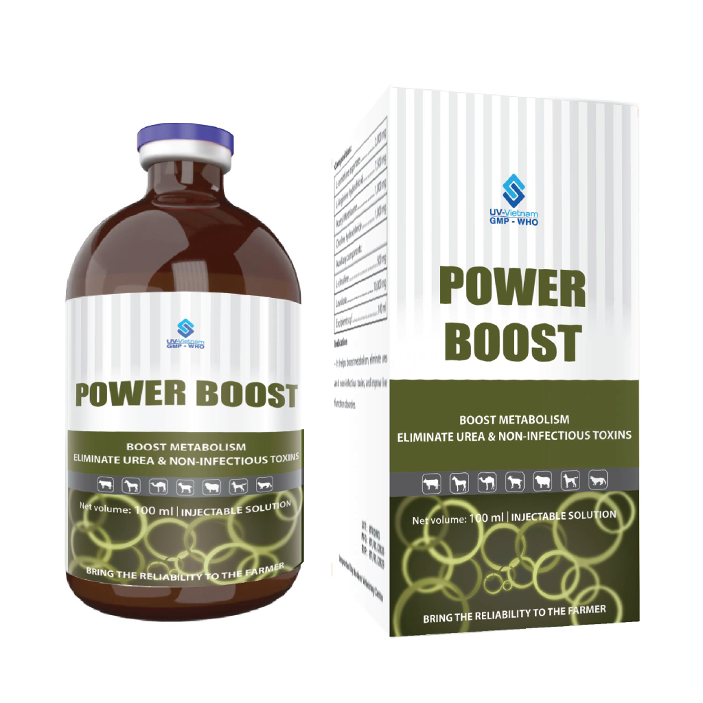  POWER BOOST 