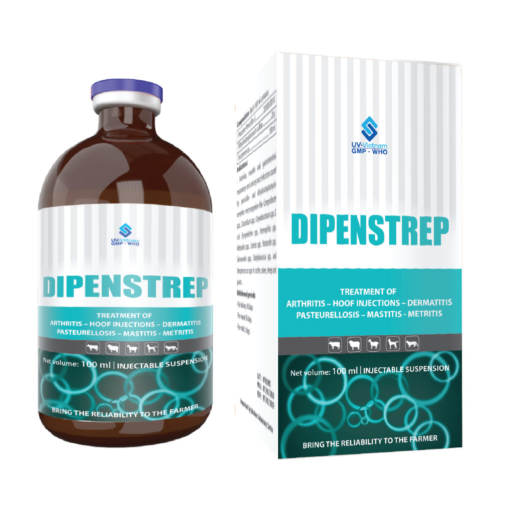  DIPENSTREP 