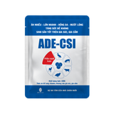  ADE-CSI 