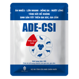 ADE-CSI 
