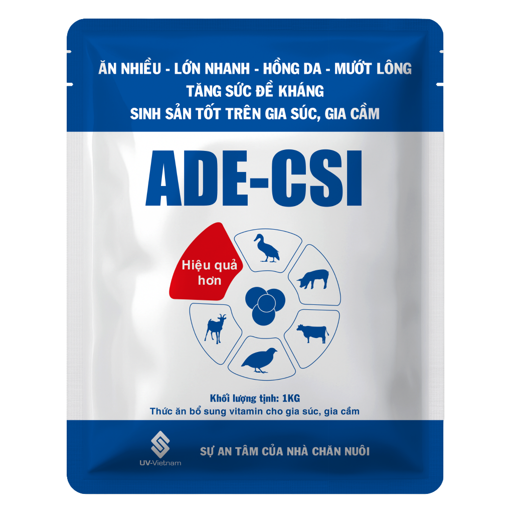  ADE-CSI 