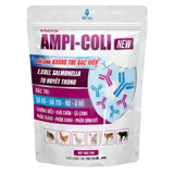  AMPI-COLI NEW 