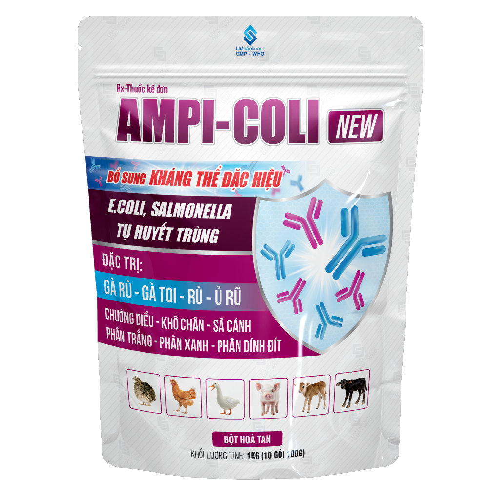  AMPI-COLI NEW 