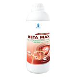  BETA MAX 