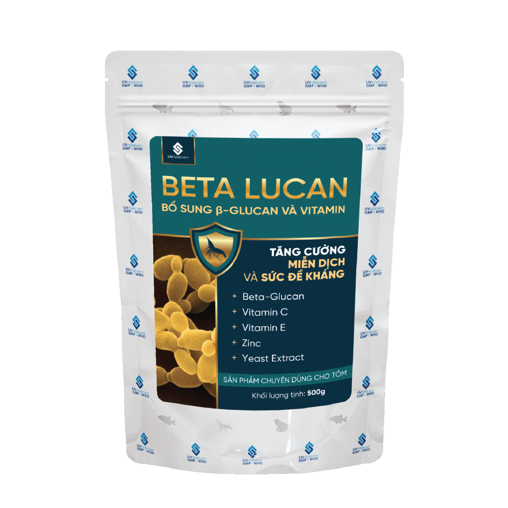  BETA LUCAN 