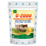  C-2000 