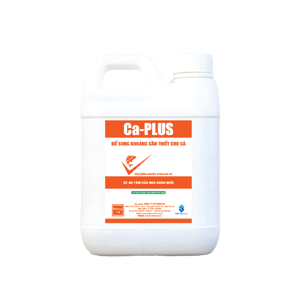 Ca-plus 