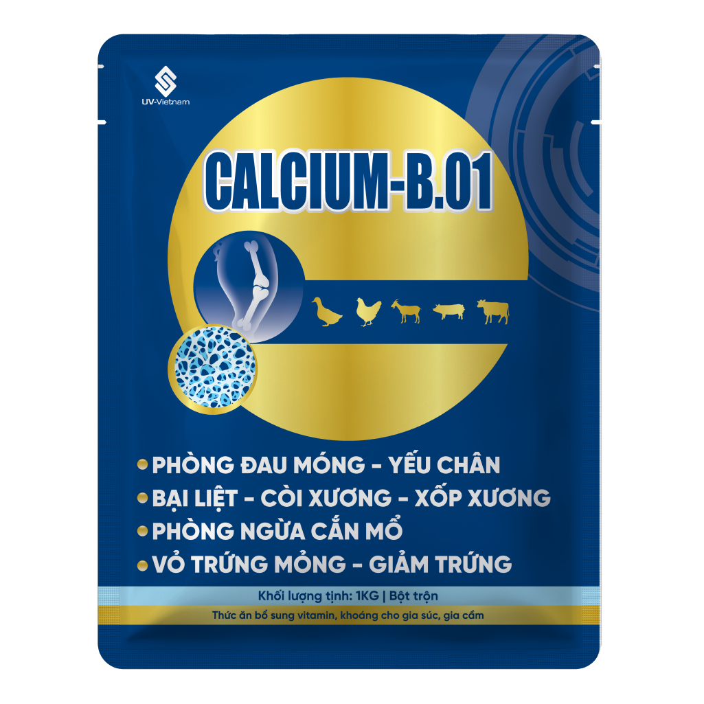  CALCIUM-B.01 