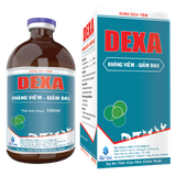  DEXA 