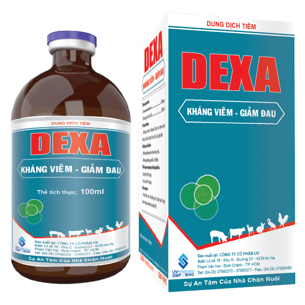  DEXA 