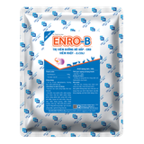  ENRO-B 