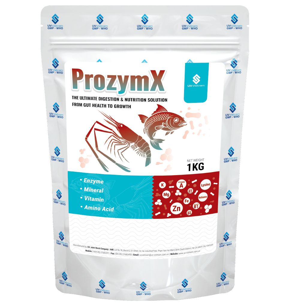  ProzymX 