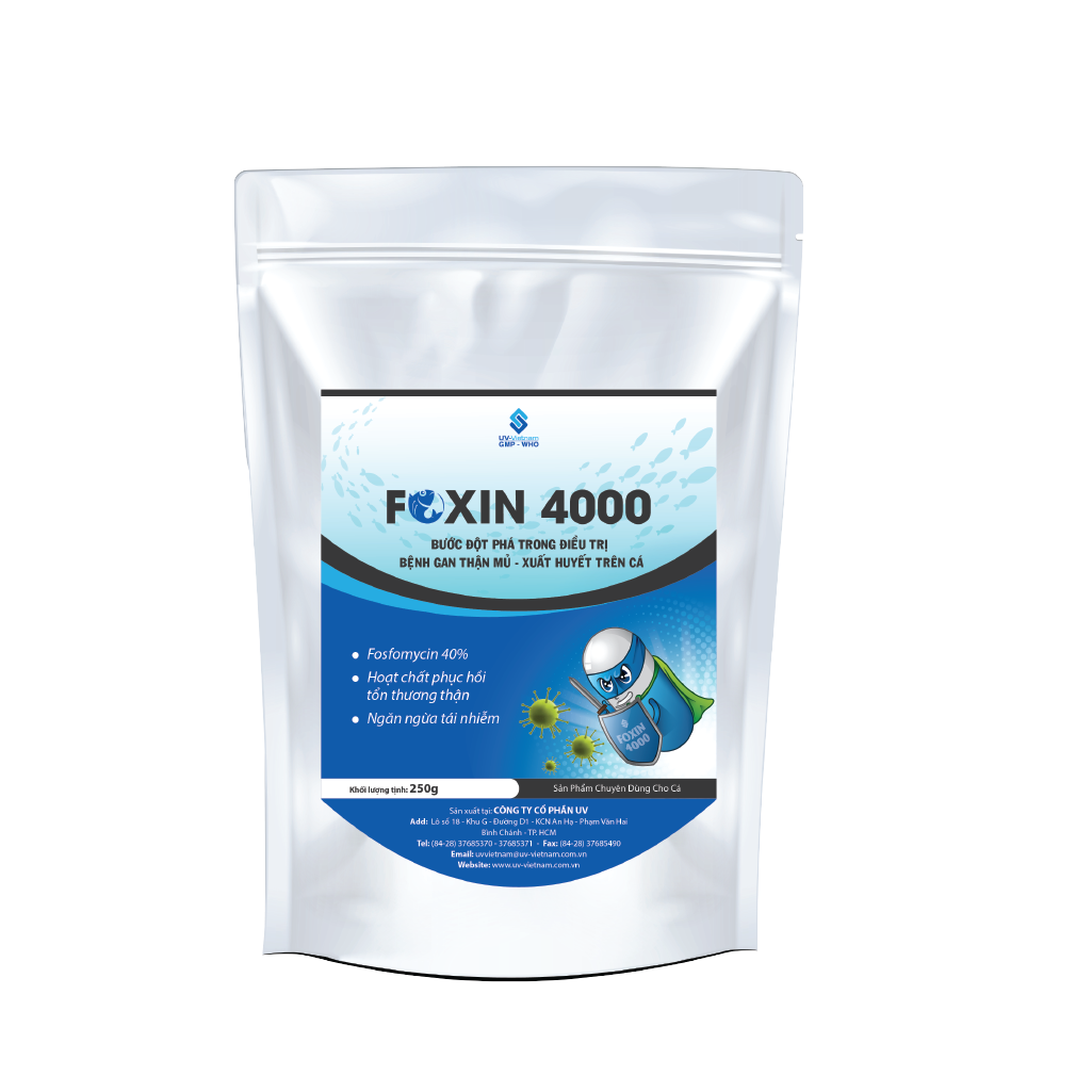  FOXIN 4000 